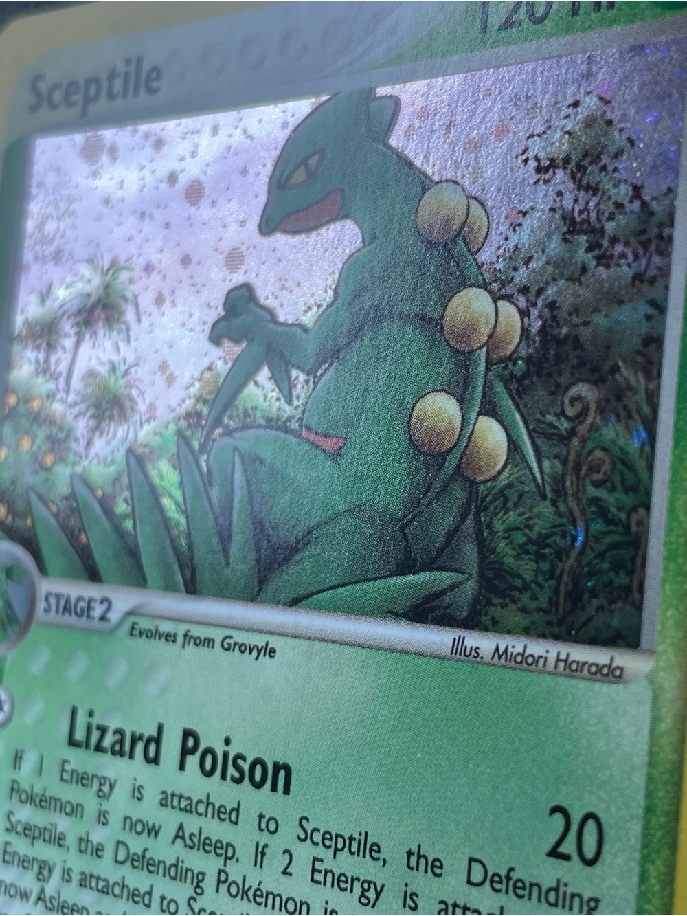 Sceptile #11/Holo/Pokemon Ruby & Sapphire - Picture 8 of 15